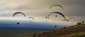 1BR bungalow farmstay. Located 40mins north of Canberra