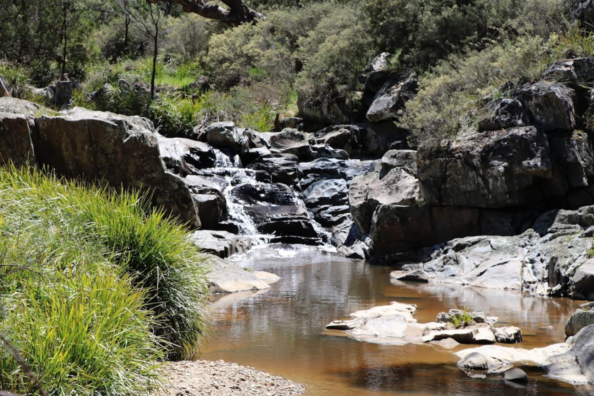 Hike the property to explore the creek lines and watering holes 