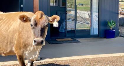 1BR bungalow farmstay. Located 40mins north of Canberra