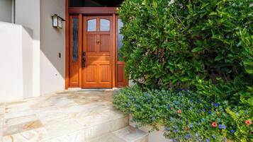 Detalle del exterior