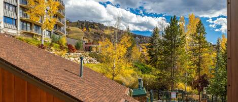 A hotel with a tiled roof, a swimming pool, and autumn foliage.