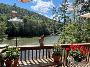 Property grounds - Casa Bella - Beautiful home, thoughtful decor (Oneonta)