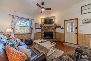 Smart TV, fireplace, books