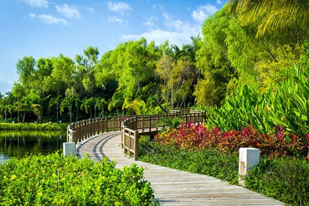 Terrein van de accommodatie