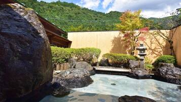 Executive-suite - bjergudsigt | Udsigt fra værelset