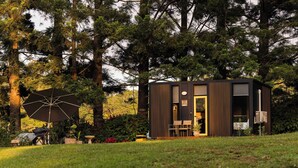 Une cabane moderne avec une façade en bois, une porte et une fenêtre.