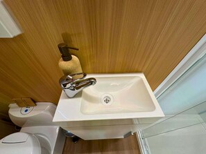 Ducha, secador de pelo y toallas