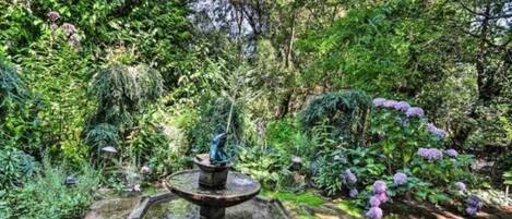 Overnatningsstedets område