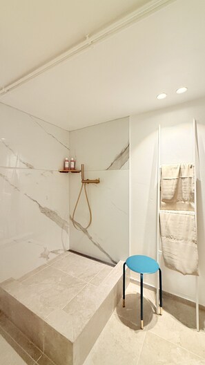 Shower, hair dryer