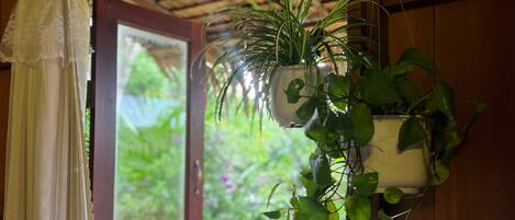 A window with a curtain, a wooden balcony, and hanging potted plants.