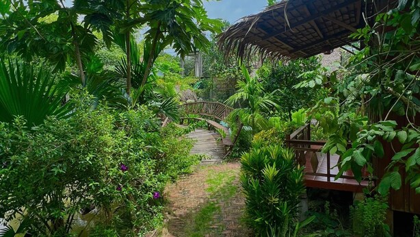 A brick pathway leading through a lush garden with various plants and a thatched-roof structure. - Mương Đình Lodge (Can Tho)