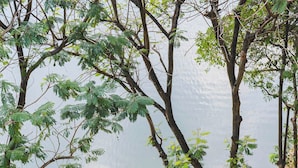 A blue car parked on a paved area with trees and a body of water in the background. - Home. Homestay (Hanoi)