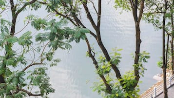 Japanilaistyylinen kahden hengen huone | Terassi/patio