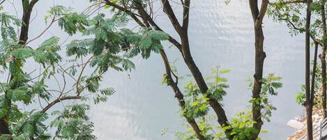 A blue car parked on a paved area with trees and a body of water in the background.