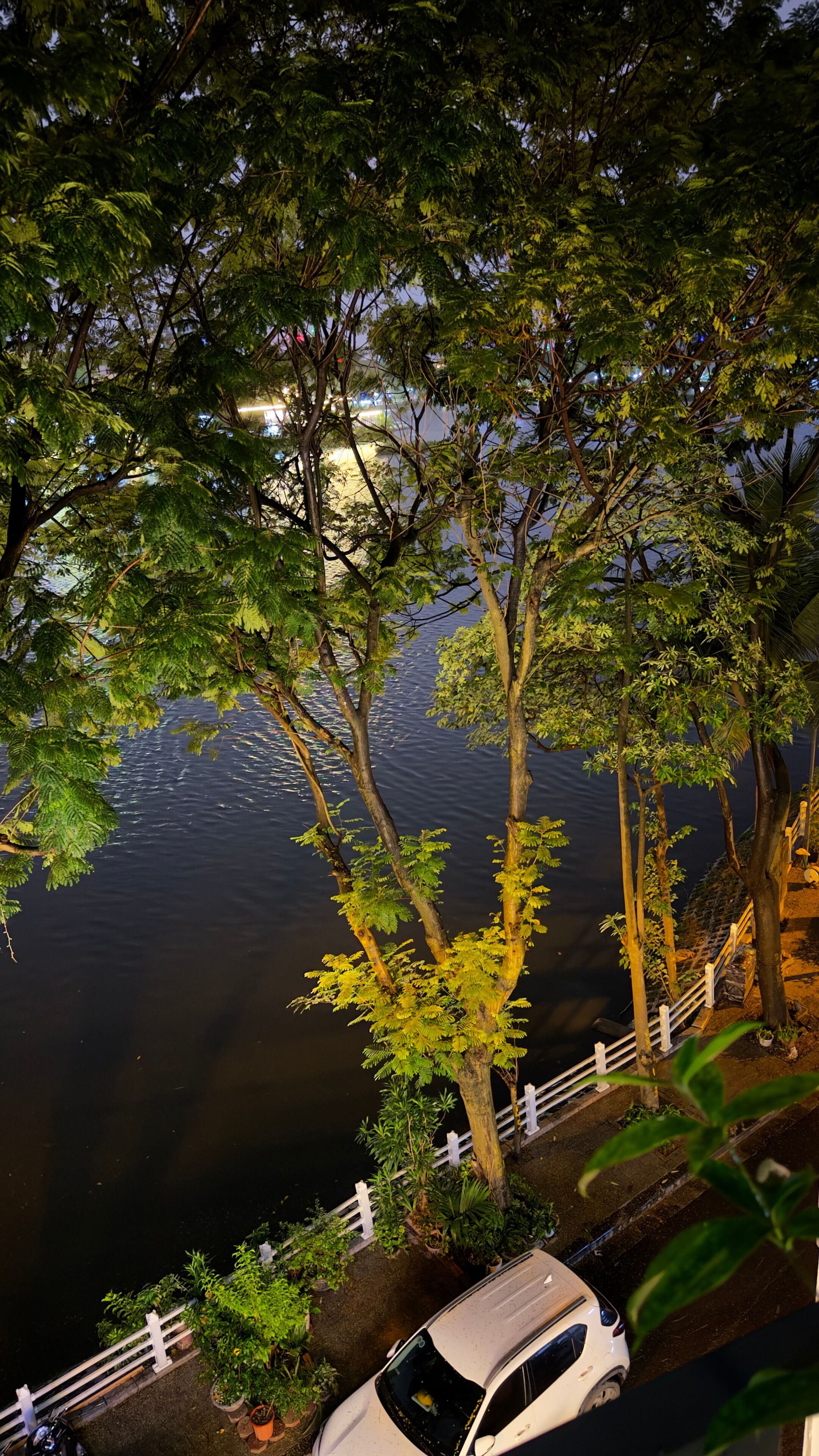 Vista desde la propiedad