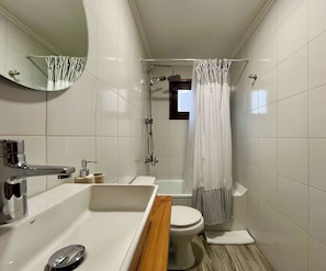 Une salle de bain avec une baignoire, des toilettes et une douche.