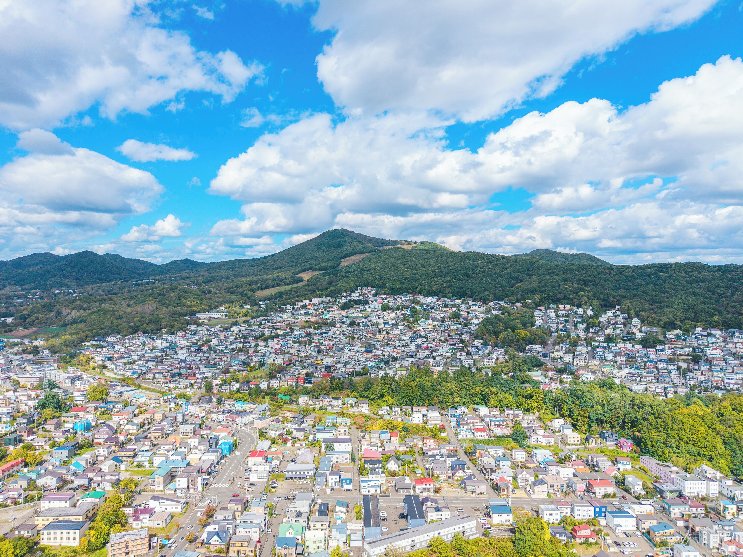 A densely packed urban area with a mountain range in the background.