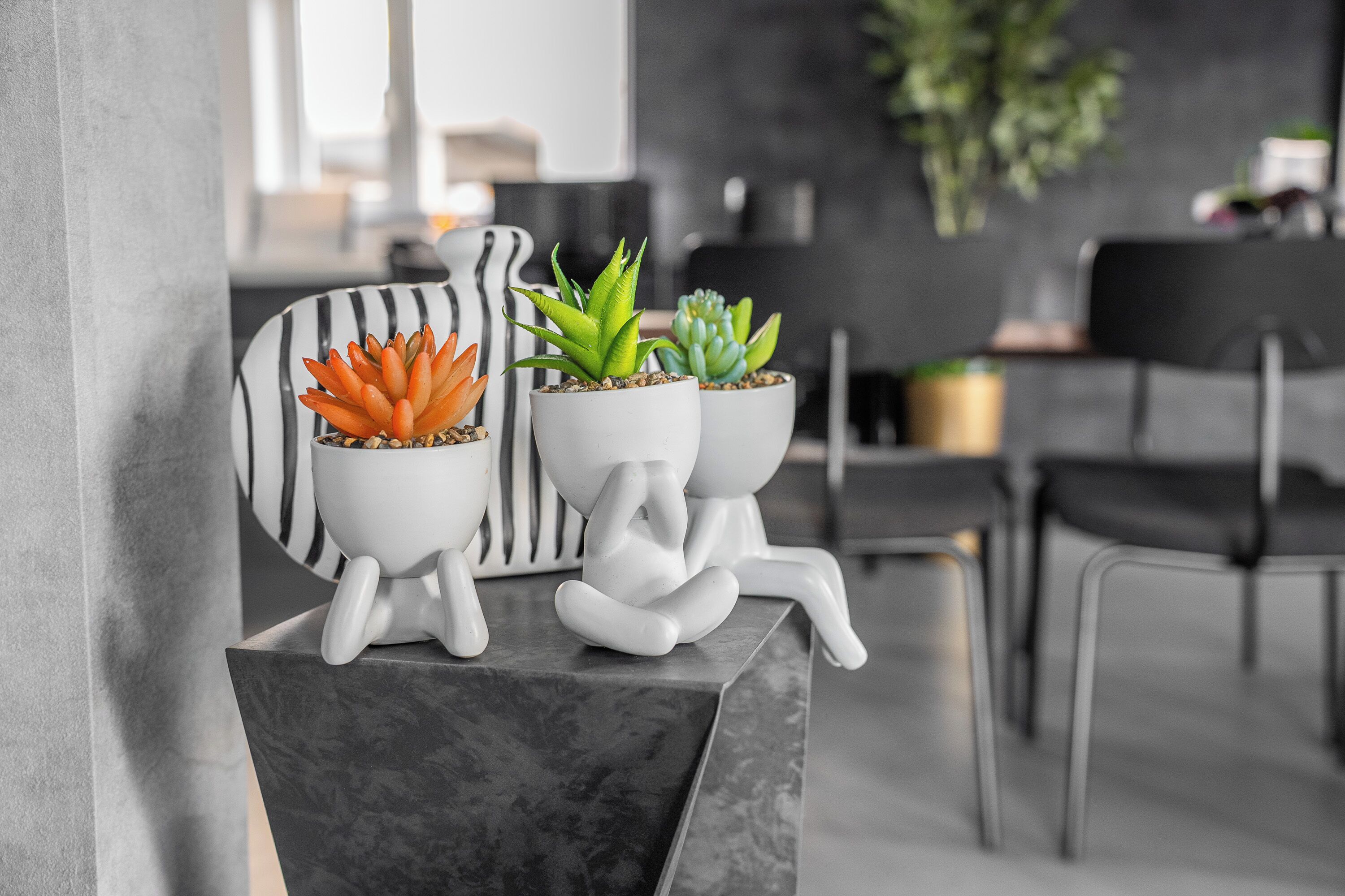 Tre krukväxter med unika mönster, placerade på en marmoryta i en modern inredningsmiljö.
