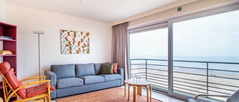 تلفزيون، مشغل دي في دي