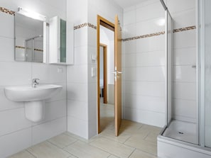 Shower, hair dryer