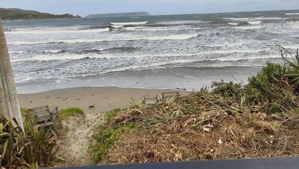 Une plage où les vagues déferlent sur le rivage, une plage de sable et quelques plantes au premier plan.