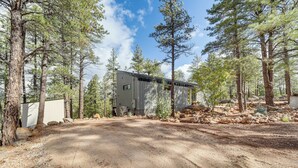 A rustic cabin surrounded by tall pine trees, with a gravel driveway leading to the entrance. - Modern Cabin Living! Mtn-View Gem in Munds Park (Munds Park)