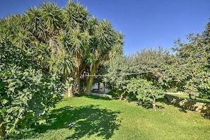 A lush garden with various plants and a well-maintained lawn.