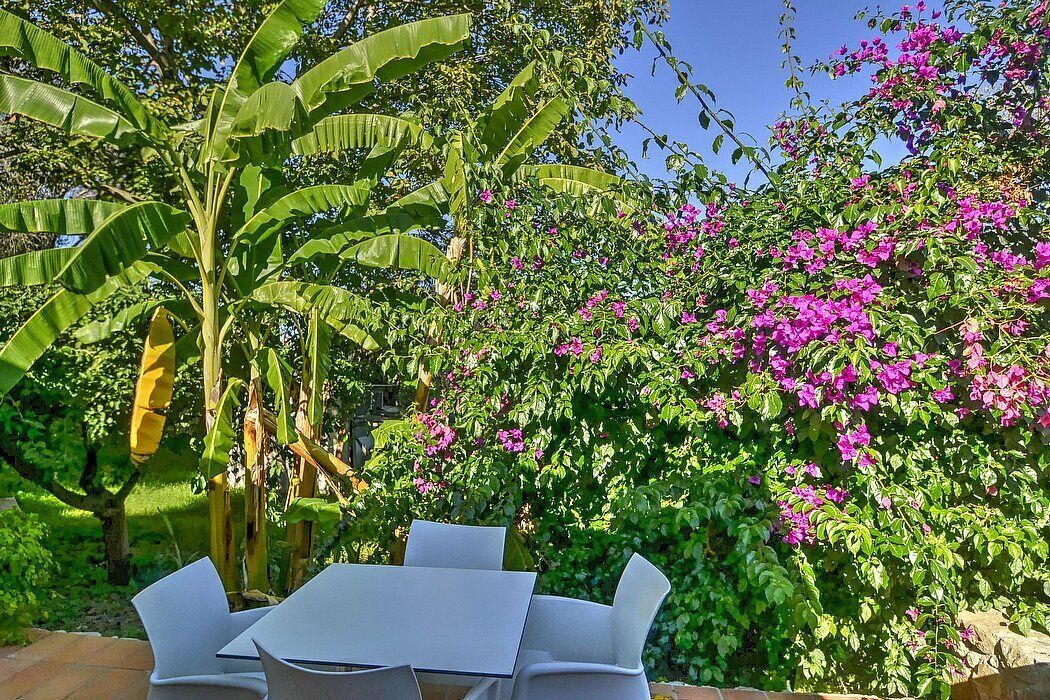 Eine Terrasse mit Tisch und Stühlen, umgeben von üppigen Bananenstauden und leuchtend rosa Bougainvillea-Blüten.