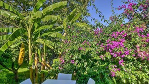 A patio with a table and chairs, surrounded by lush banana trees and vibrant pink bougainvillea flowers. - Villa Pascal C: A characteristic and welcoming apartment that is part of a villa surrounded by meadows and by green hills, with Free WI-FI. (Mirto)