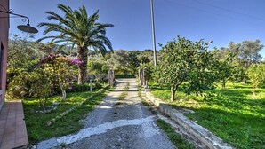 A pathway leading to a building with a tiled entrance, surrounded by lush greenery and a palm tree. - Villa Pascal C: A characteristic and welcoming apartment that is part of a villa surrounded by meadows and by green hills, with Free WI-FI. (Mirto)