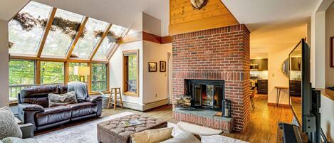 テレビ、暖炉、書庫、ビデオライブラリ