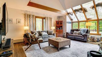 TV, fireplace, books, video library