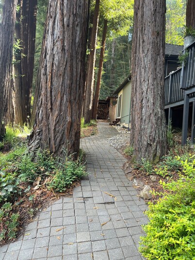Private Redwood View Suite Near Santa Cruz Beaches