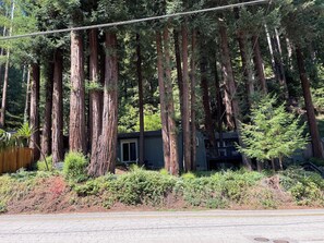 Exterior - Redwood View Suite 326SQ.FT Private Entrance &Bath (Scotts Valley)