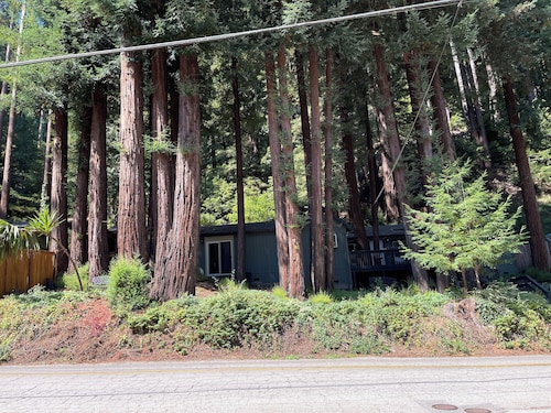 Redwood View Suite 326SQ.FT Private Entrance &Bath