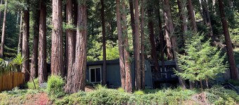 Redwood View Suite 326SQ.FT Private Entrance &Bath