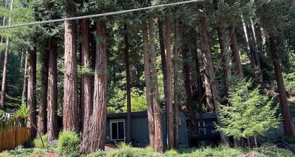 Redwood View Suite 326SQ.FT Private Entrance &Bath