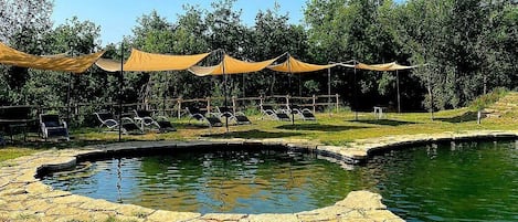 Una piscina con sillas de descanso y una zona sombreada con cerramiento.