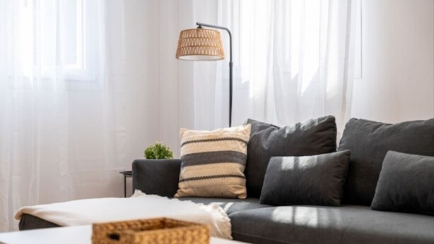 A modern living room with a grey sofa, a small side table with a plant, and a floor lamp.