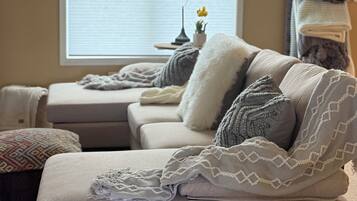 Smart TV, fireplace, books