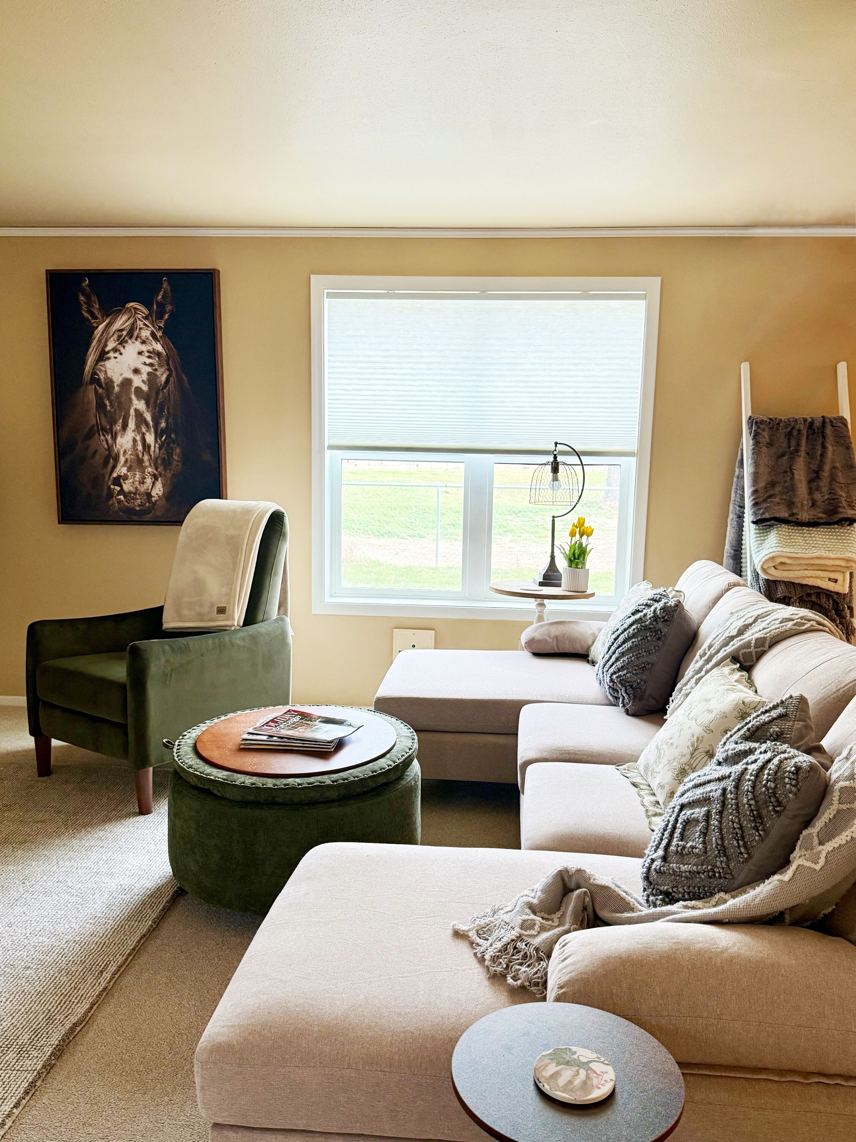 Smart TV, fireplace, books, printers