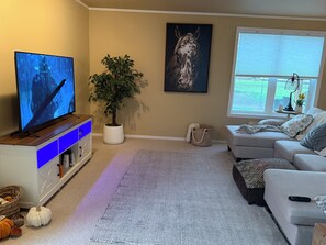 تلفزيون، مدفأة