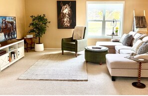 Smart TV, fireplace, books