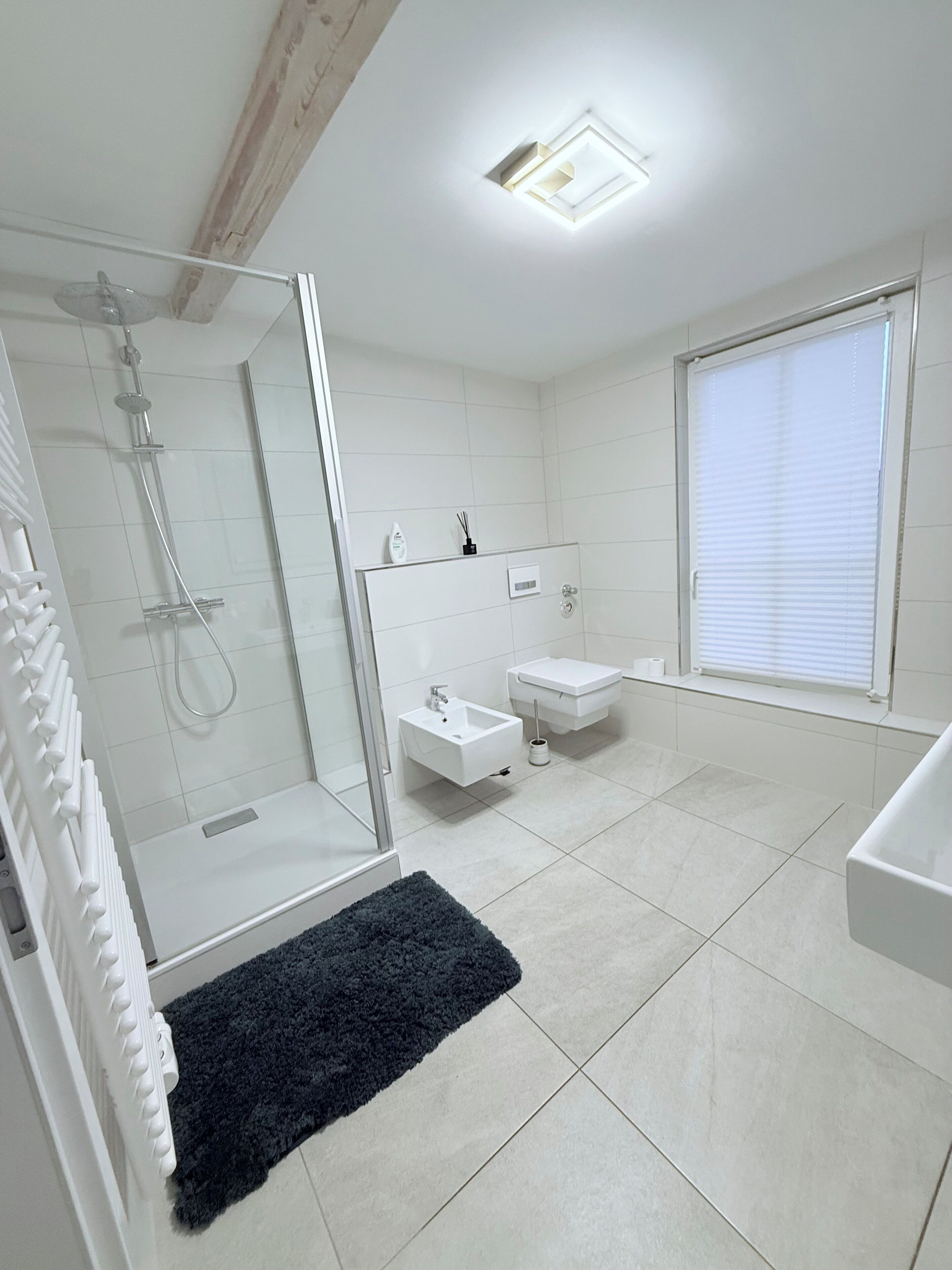 Bruser, hårtørrer, bidet, håndklæder