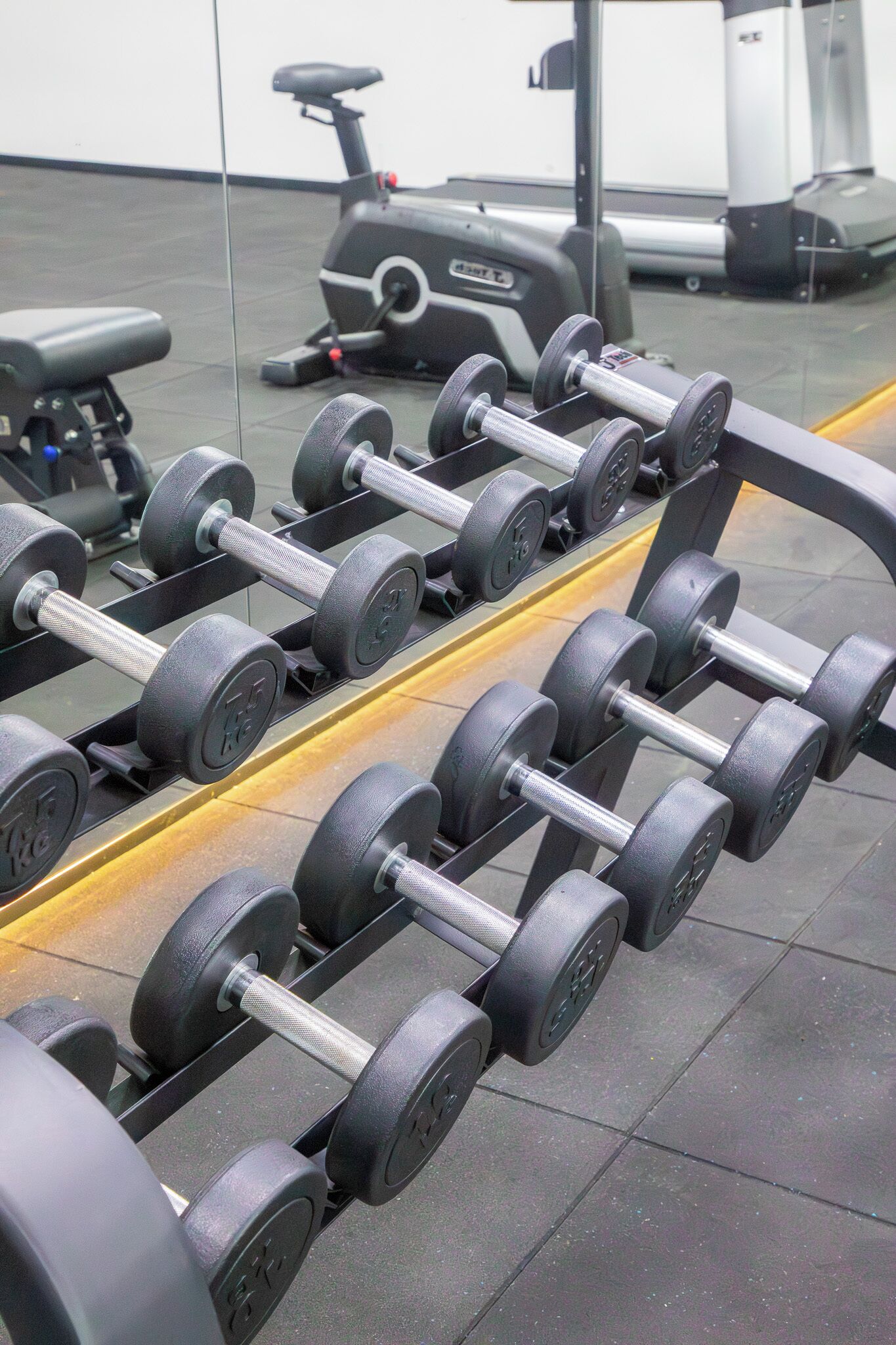 Ein Fitnessstudio mit einer Reihe von Kurzhanteln auf einem Gestell, einem Ergometer und einem Laufband im Hintergrund.