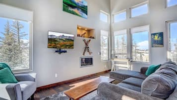 TV, lareira, DVD player, escritórios