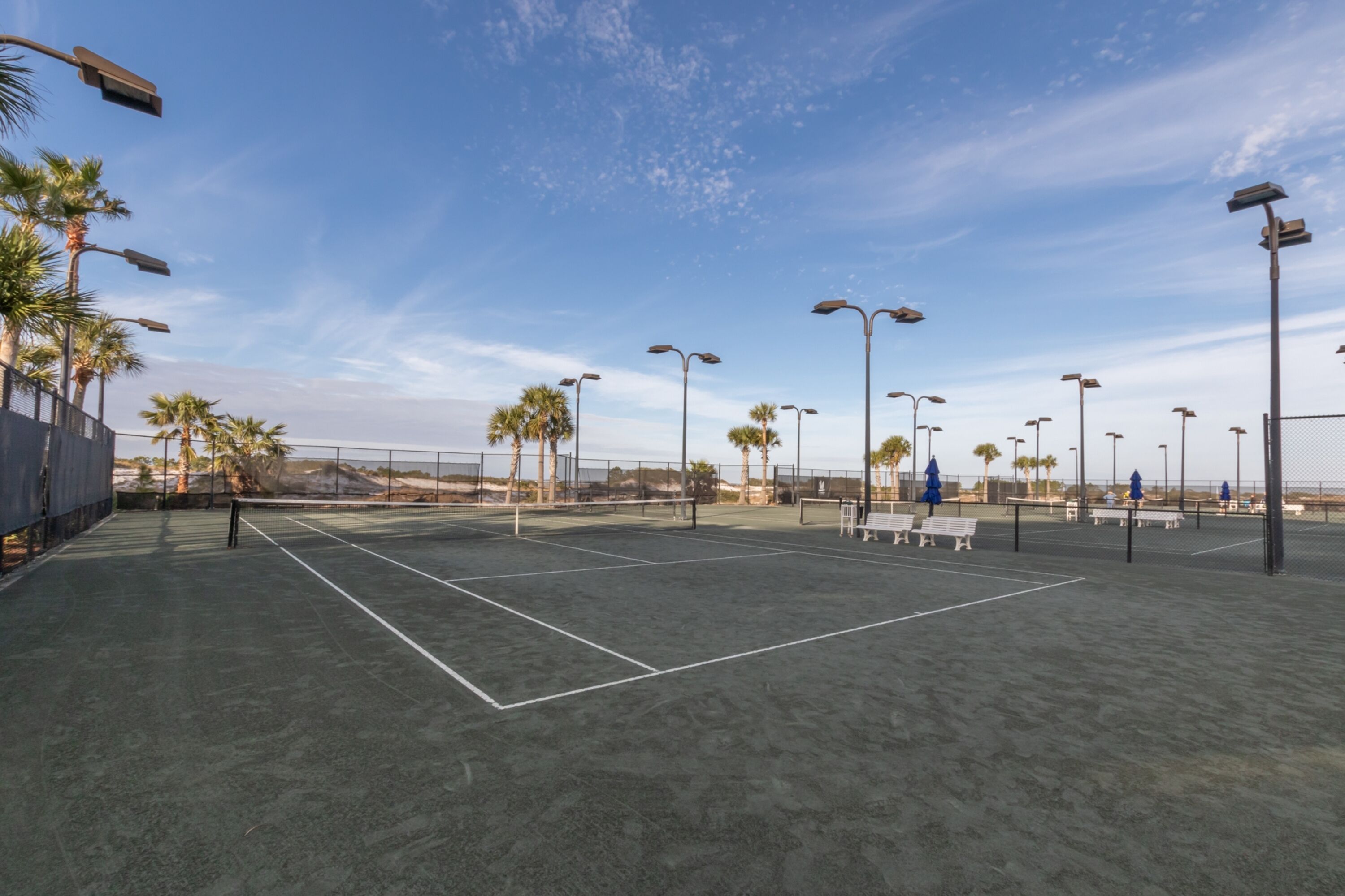 An outdoor tennis court with multiple lanes, surrounded by palm trees and street lamps.