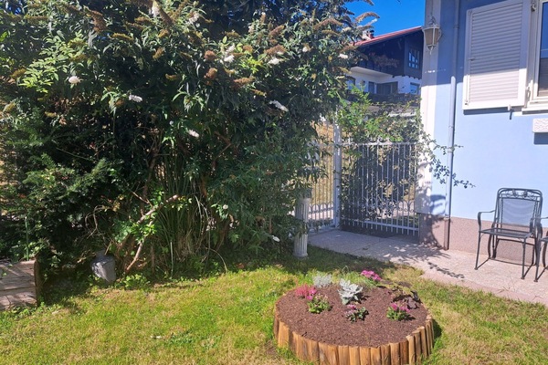 Strauch, Garten, Hinterhof, Garten, Schatten, Landscaping, Home Fechten, Zaun, Hof