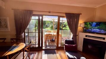 Smart TV, fireplace, DVD player, books