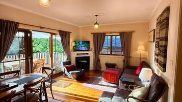 Smart TV, fireplace, DVD player, books